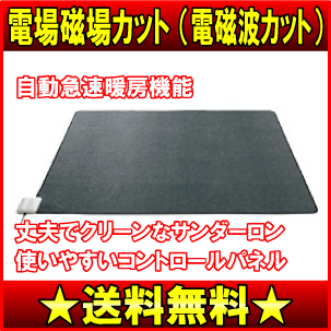 タウンモール ＞ 多運家電モール ＞ 季節家電 ＞ 電気暖房商品 